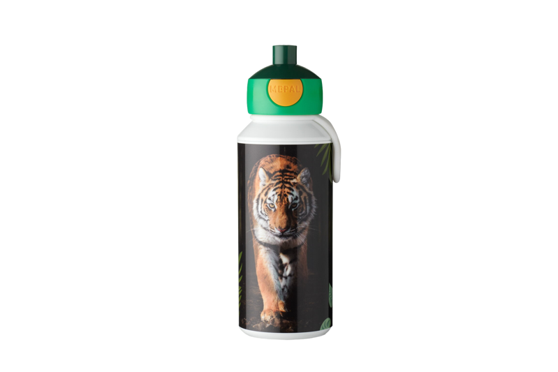 7ddcd923-e639-4ca4-b092-fdbf19b46721.800x