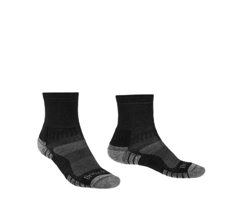 ab2d610c-2ae6-403d-8563-6d2b7af60e82.800x