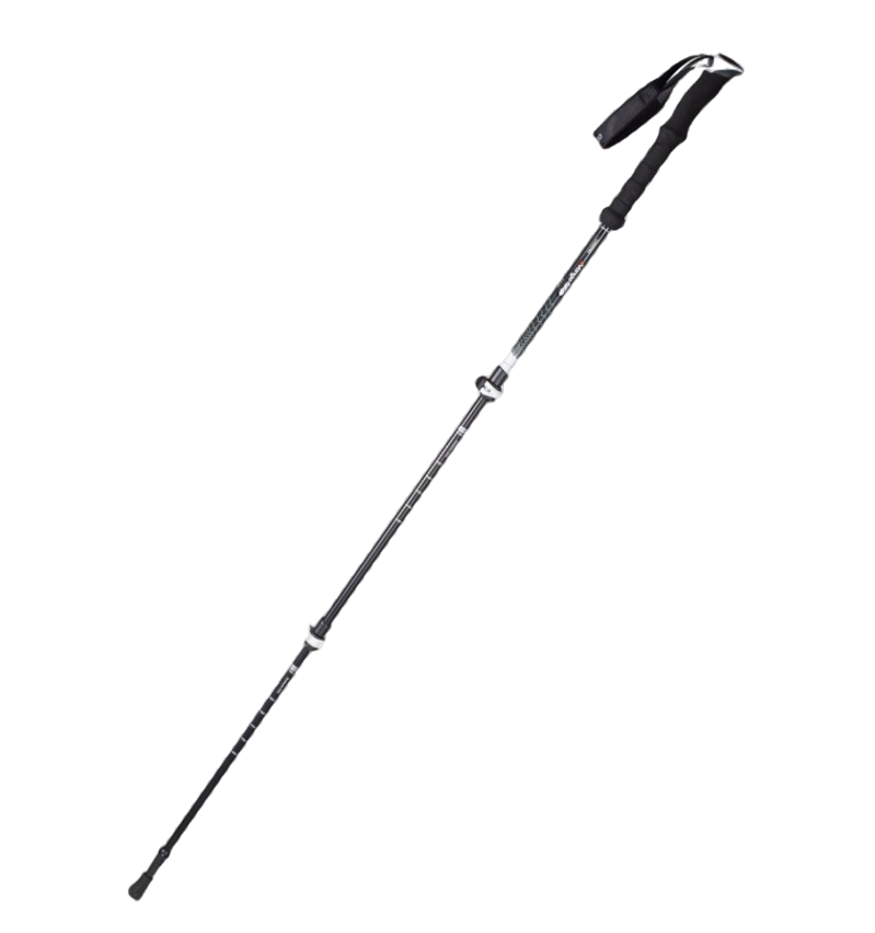 c18bb3ce-3f30-4726-b08a-38212ebe70b4.800x